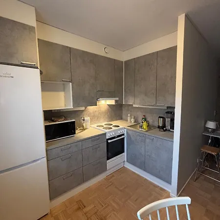 Louhentornin Saunallinen Yksioe Apartment *